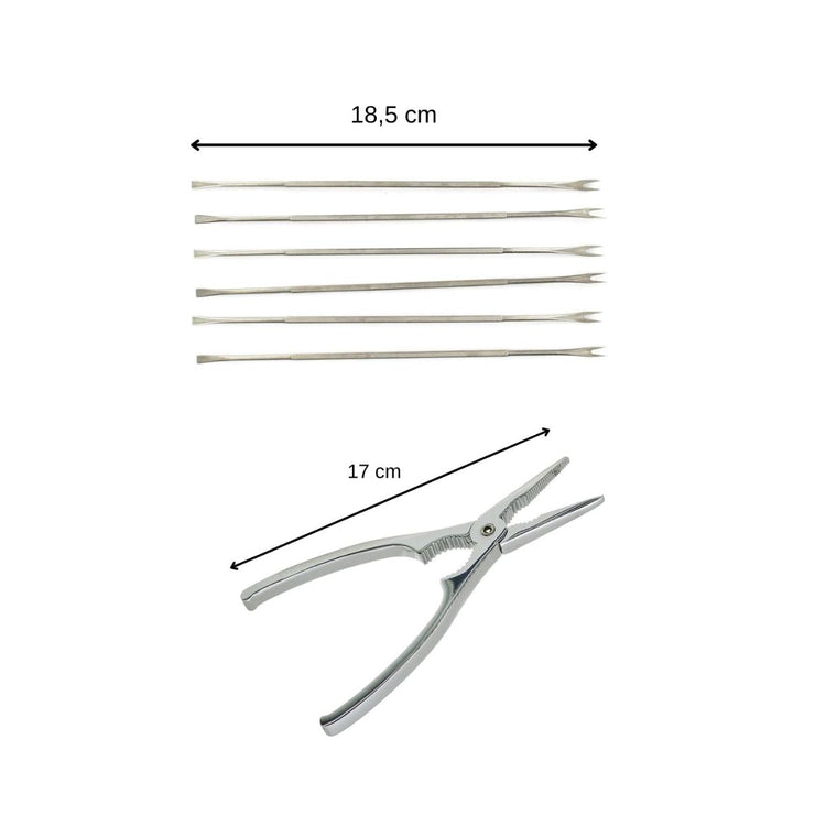 Ensemble de 2 ustensiles de cuisine pour crabes et homards Fackelmann Spécialités Culinaires