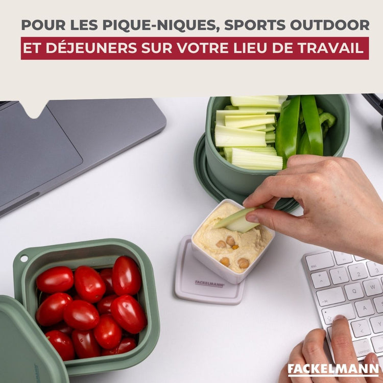 Lot de 2 lunchbox 500ml avec 2 ustensiles de cuisine Fackelmann Storage