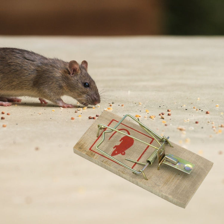 Lot de 2 pièges à souris en bois Fackelmann