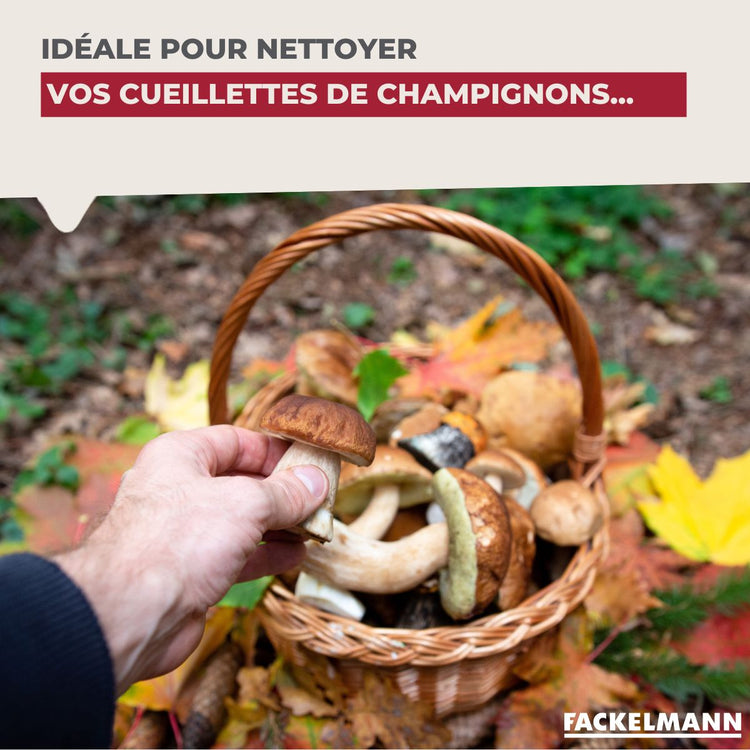 Brosse à légumes en bois Fackelmann Wood Edition