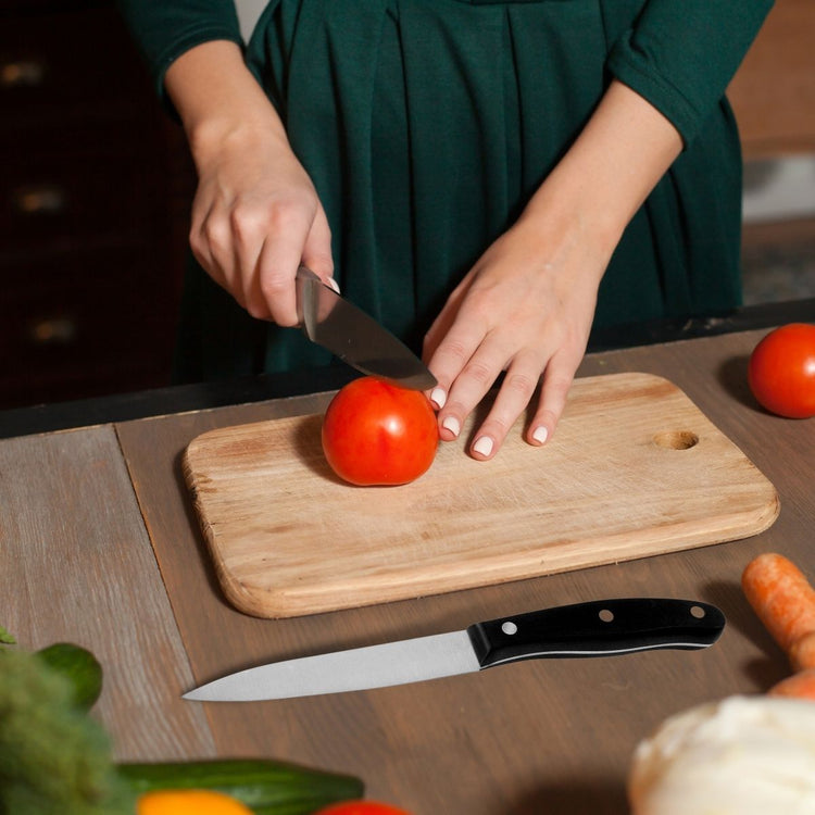 Ensemble de 4 couteaux de cuisine 20, 22, 26 et 31 cm Nirosta Fit