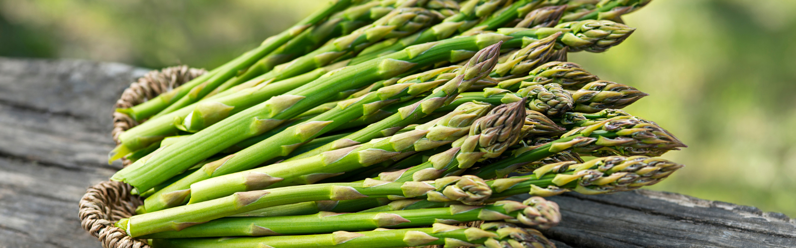 Cuiseurs à asperges