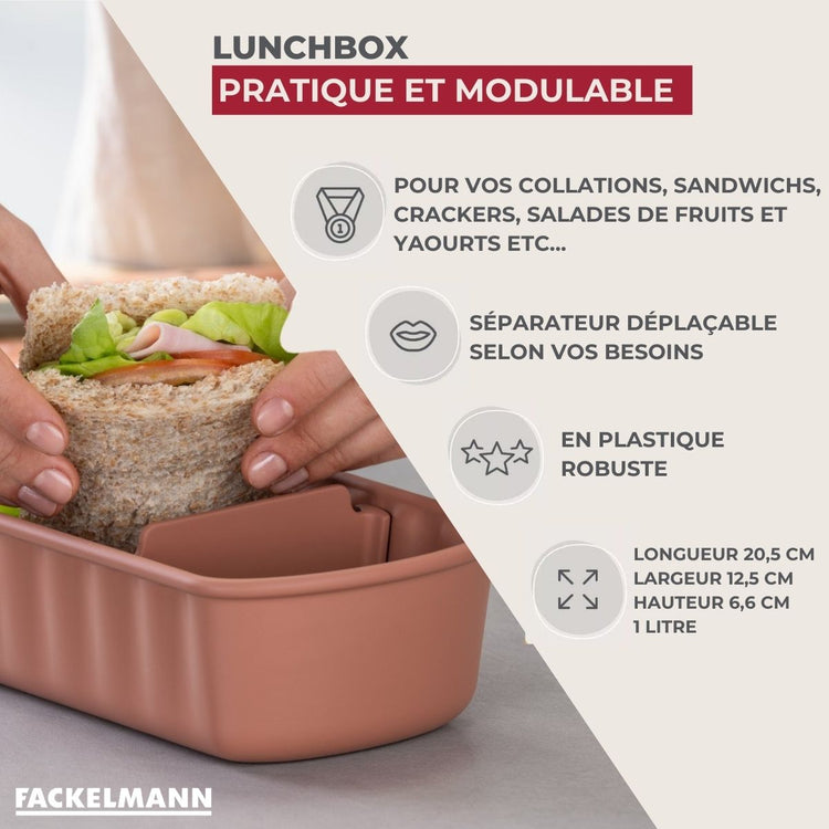 Lot de 2 lunch boxes 1L avec 2 ustensiles de cuisine Fackelmann Storage