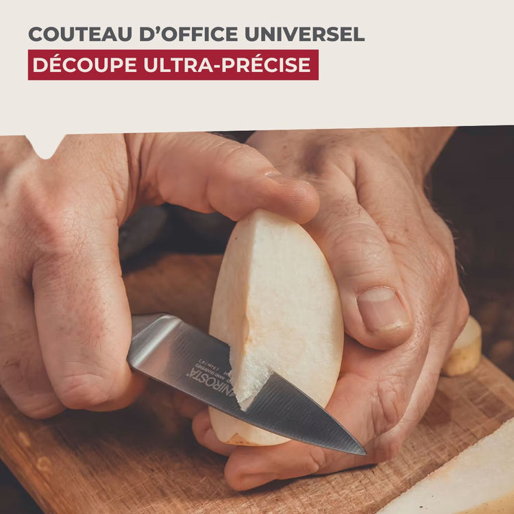Ensemble de 6 Couteaux d'office en inox 20 cm en tout Nirosta Star