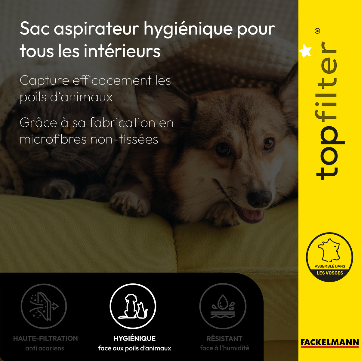 Lot de 4 sacs aspirateur pour Goldstar et LGE TopFilter Premium