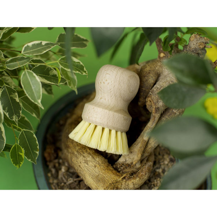 Brosse à vaisselle en bois écologique Fackelmann Eco Friendly