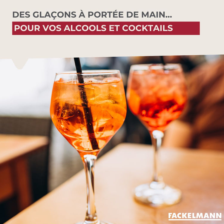 Lot de 2 Bac à glaçons 14 glaçons Fackelmann Bar Concept