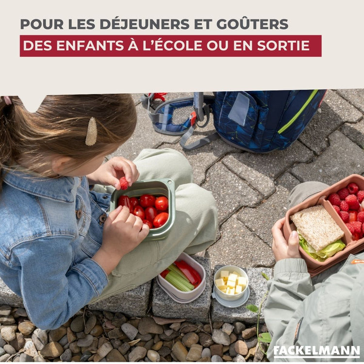 Boite à Snacks Pliable en Silicone Blanc Fackelmann Storage