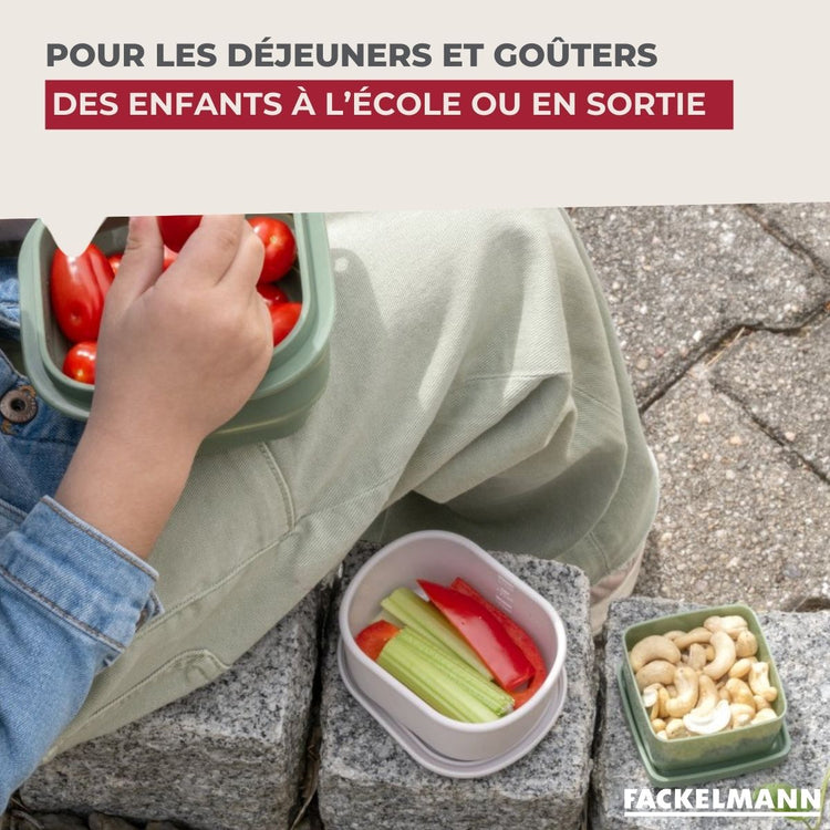 Lot de 4 boîtes à sauce hermétiques 0,5L Fackelmann Storage