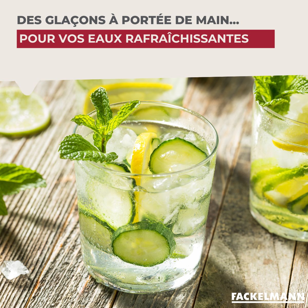 Lot de 2 Bac à glaçons 14 glaçons Fackelmann Bar Concept