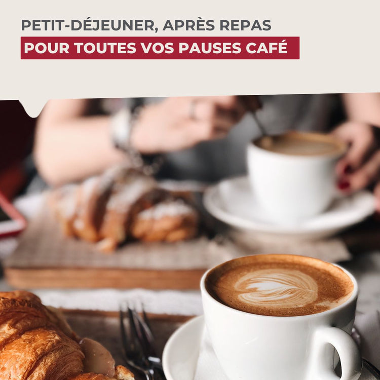 Verseuse pour cafetière Philips 502 Fackelmann Basics