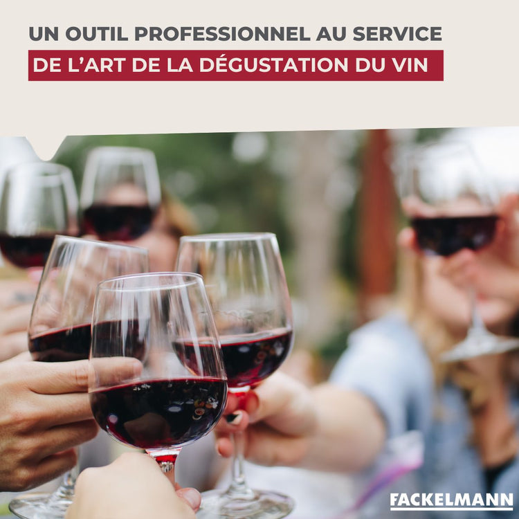 Lot de 2 becs verseurs anti-goutte pour bouteilles Fackelmann Bar Concept