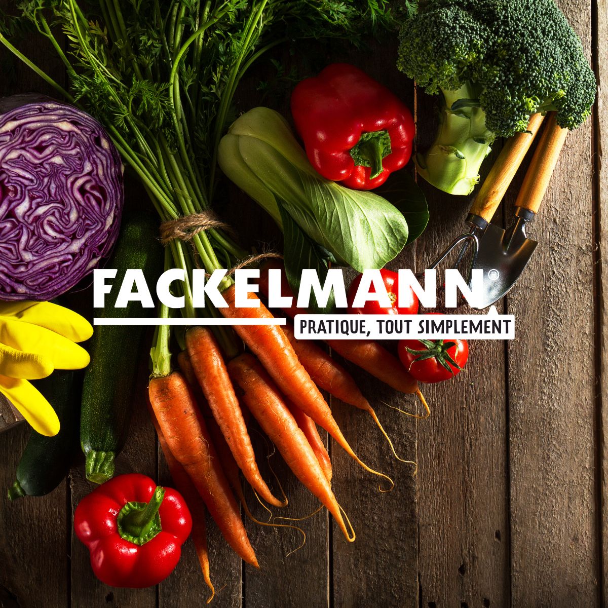 Filtre hotte Fackelmann Accessoires hotte et friture