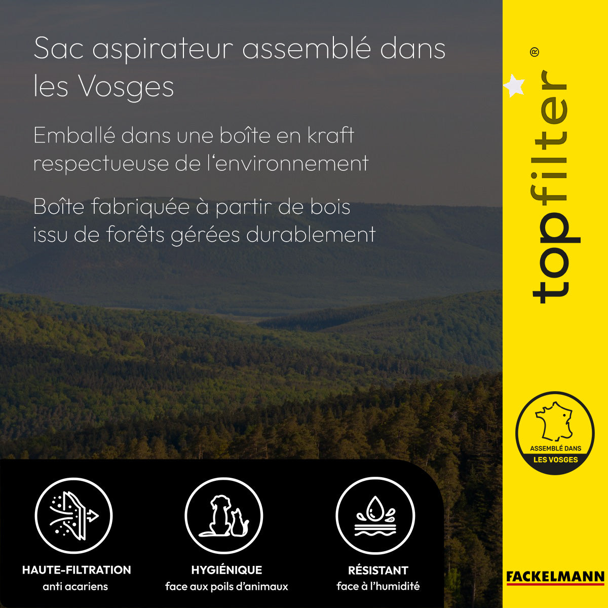 Lot de 4 packs de 4 sacs aspirateur Electrolux et Tornado TopFilter Premium